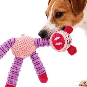 Czzoypi Dog Chew Toys for Aggressive Chewers, Squeaky Interactive Dog Toys for Teeth Cleaning, Tough Puppy Chew Toys for Small Medium Dogs with Squeaker for Play Training Gifts