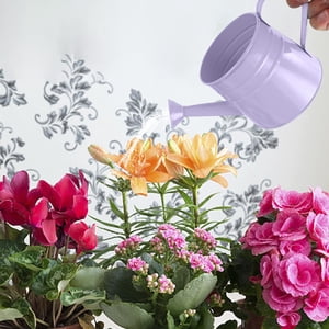 Wuztai Vieille boîte d'arrosage en métal, boîte à arrosage en fer pour les plantes intérieur jardin extérieur, Bouilloire d'eau florale décorative 1.5L pour Bouquet de pot de fleurs