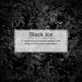 thumbnail image 3 of LITTLE TREES air freshener Black Ice 3-Pack, 3 of 8