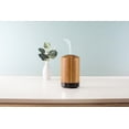 thumbnail image 3 of Diffuseur 100 mL ScentSationals - Bamboo, 3 of 4