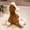 Coffee 8A3, variant on ZZkhGO Running Horse Plush Toy, Chinese Zodiac Horse Year Mascot Doll, Realistic Pony Plush for Home Decor