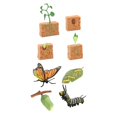 thumbnail image 4 of HILABEE Figurines du Cycle de Vie Jouet Papillon et Plantes de Haricot Cadeau Jouet Scientifique pour Enfants, 4 of 9