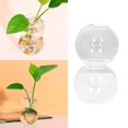 thumbnail image 3 of jifeng Glass Flower Vase Wooden Stand Terrarium Container Air Plant Bulb 2 Balls, 3 of 7