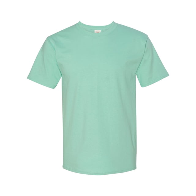 Hanes Men's Authentic-T T-Shirt