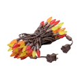 thumbnail image 4 of Novelty Lights 24FT 70 LED C6 Thanksgiving & Outdoor Christmas Tree Lights, 4 of 7