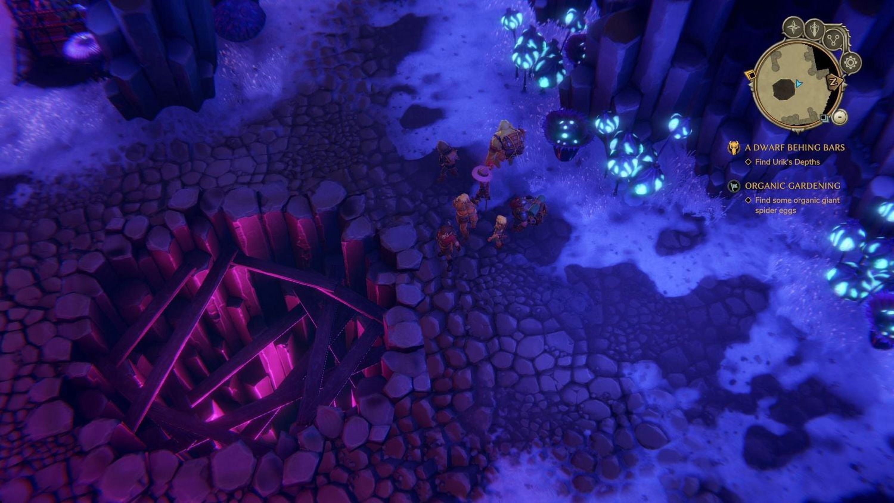 Jeu vidéo The Dungeon of Naheulbeuk: The Amulet of Chaos pour (PS4)