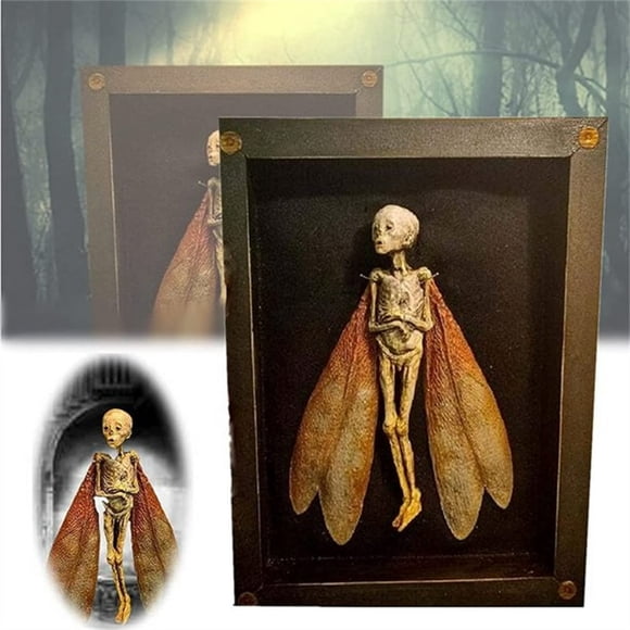 Cursed Items Dead Shadow Box Display Handmade Creepy Mummified Corpse Art Ornament
