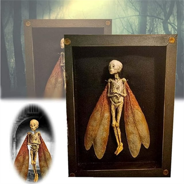 Cursed Items Dead Shadow Box Display Handmade Creepy Mummified Corpse Art Ornament