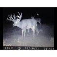 thumbnail image 3 of Wildgame Innovations TR6I34W Terra 6 Game Camera, 3 of 4