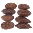 thumbnail image 1 of 8pcs Bird Chewing Dried Fruit Natural Parrot Foraging Toys Chewing Accessories for Budgie Parakeet, 1 of 9