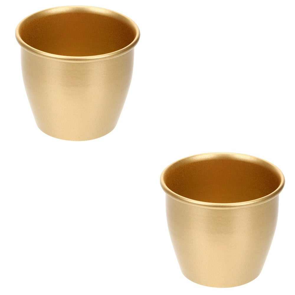 HLONK Set of 2 Mini Flower Pot Pots for Plants Flower Pots Gold Planter Plant Pots Metal Bucket