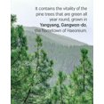 thumbnail image 4 of ROUND LAB Pine Calming Cica Sheet Mask, 4 of 8