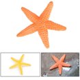thumbnail image 4 of RKSTN Baby Toys Realistic Sea Animals Solid Simulation Figurines ABS Figures Models Collection Educational Toys For Children Educational Toys for Toddler Babies, 4 of 4