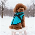thumbnail image 5 of Veste d'Hiver Isolée avec Harnais Intégré, Manteau Style Ski Chaud pour Chiens et Chats, Vêtements d'Extérieur par Temps Froid, 5 of 5