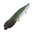 thumbnail image 3 of kurtrusly Realistic Static Ocean Animal Model Toy Kids Gift Pirarucu, 3 of 9