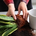 thumbnail image 4 of Schultz Potting Soil 25L, 4 of 4