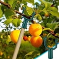 thumbnail image 1 of Tree Branch Support,Metal Tree Crutch Support Device ,Tree Leaning Tree Straightening Kit,Propping Up Branch Spreaders Fruits Tree Garden Stakes Broom Pole Anchor,Round Pipe Garden Yard, 1 of 6