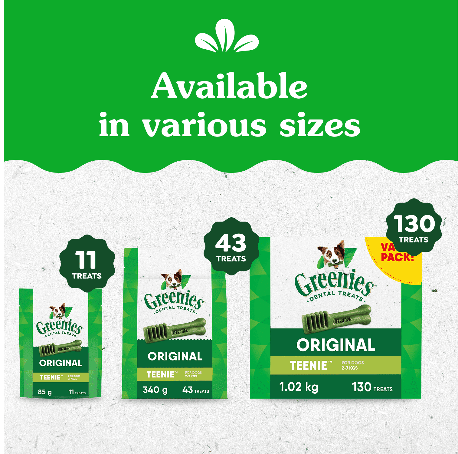 Gâteries dentaires naturelles pour chiens adultes GREENIES Original format TEENIE