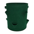 thumbnail image 1 of Agiferg Strawberry Planting Bag Garden Planting Bag Hanging Eight-hole Green, 1 of 1