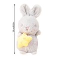 thumbnail image 3 of EIMELI BuleStore Follure Creative Toy Star Carrot Rabbit Doll Bunny Plush Toy Baby Comfort Doll, 3 of 3