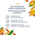thumbnail image 2 of Dove Smoothness and Shine Ritual Shampoo, 2 of 6