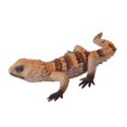 thumbnail image 1 of Figure Soft Reptile Toy Educational Toys Hand Painted Crafts Party Favors D, 1 of 9