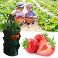 thumbnail image 1 of Sac Suspendu de Culture pour Fraises de Jardin, Pot de Racines, Pochette, Contenant, 1 of 6