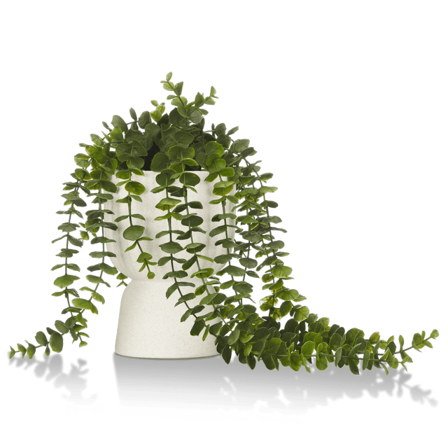 Bouclair Waterfall Eucalyptus in White Hourglass Pot