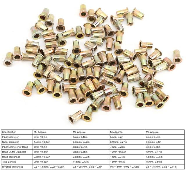 Kit de Noix Filetées à Tête Plate 100 Pcs, Noix à Rivets Plaquées Zinc Colorées Kit de Noix Filetées à Tête Plate pour Diverses Plaques Métalliques, Fixation, Écrous