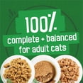 thumbnail image 4 of Friskies Indoor Assorted Variety Pack, Wet Cat Food 24 x 156 g, 4 of 9