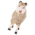 thumbnail image 1 of Xingzhi Simulation Animal Model Kids Educational Toys goat PL127-1473, 1 of 5