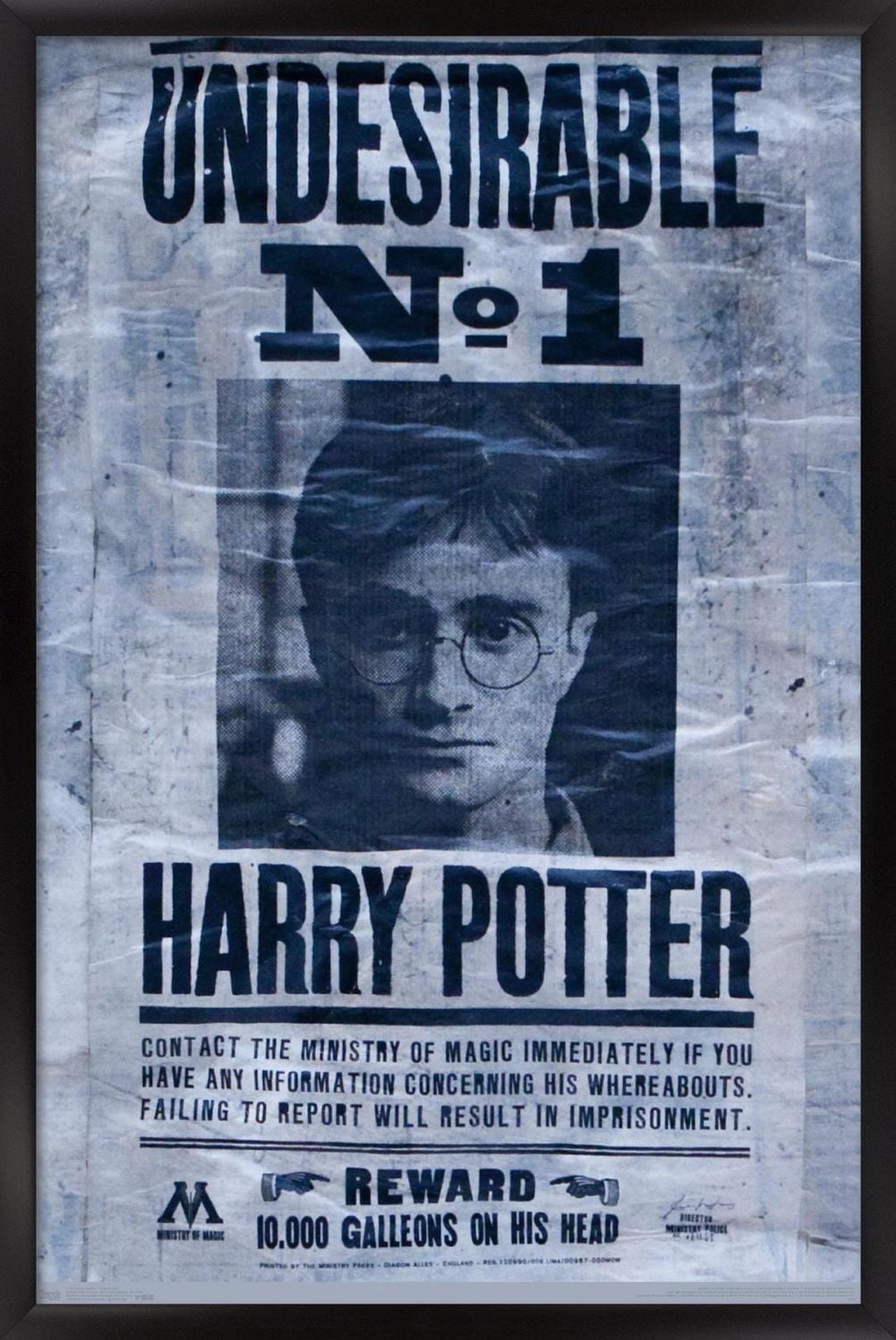 Le Monde des Sorciers : Harry Potter - Indésirable