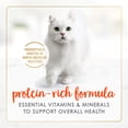 thumbnail image 4 of Fancy Feast Pate Salmon, Wet Cat Food 85g, 4 of 10
