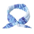 thumbnail image 1 of QualitChoice Dog Cooling Collar Bandana Beat Heat With Stylish Accessory Cooling For Cooling Dog In Summerl blue M, 1 of 6