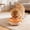 Orange, variant on Dvkptbk water bowl Automatic Floating Water Bowl for Cats and Dogs Gentle on Pet Beard Foolproof To Clean Disclose Proof Suitable for Small To Medium Sized Pet