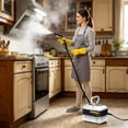 thumbnail image 5 of Outdor Steam Steamer For Cleaning Engine Steam Steamer For Cleaning For Home, 5 of 5