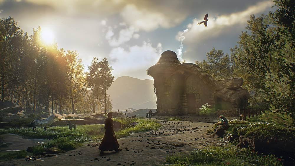 Jeu vidéo Hogwarts Legacy pour (PlayStation 5)