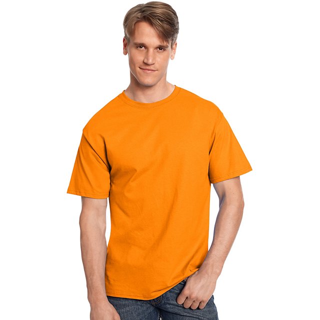 Hanes TAGLESS T-Shirt - 5250