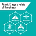 thumbnail image 4 of STEM™ Flying Insect and Fruit Fly Light Trap, Attracts and Traps Flying Insects, Starter Kit with 1 Plug-In Device and 1 Cartridge, 4 of 8
