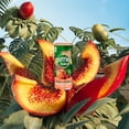 thumbnail image 2 of PERRIER & JUICE Peach & Cherry Sparkling Beverage – 6x330 mL Can, 2 of 6