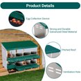 thumbnail image 4 of Chicken Nesting Boxes – 8 Hole Heavy Duty Metal – 2-Tier with Swing Perch & Egg Collection – for Chicken Coop – Green, 4 of 22