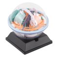 thumbnail image 4 of D Gravity Maze Ball,3D Gravity Maze Ball Puzzle Maze Ball Maze Ball Game Streamlined Design, 4 of 8