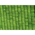 thumbnail image 1 of Ahgly Company Machine Washable Indoor Rectangle Transitional Green Area Rugs, 7' x 9', 1 of 7