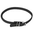 thumbnail image 1 of Dogline L1001-1 Collier Rond en Cuir 8-10 L x 0,25 Po L, Noir, 1 of 1