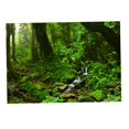 thumbnail image 1 of tamizeot Aquarium Background 3D Background Poster Fish Tank Decorations Sticker Wall Grass Green 61x41cm, 1 of 6