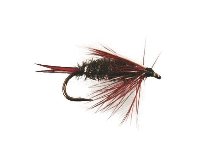 Superfly FLY1199-10P Nymph Prince Nymph #10