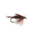 thumbnail image 1 of Superfly FLY1199-10P Nymph Prince Nymph #10, 1 of 1