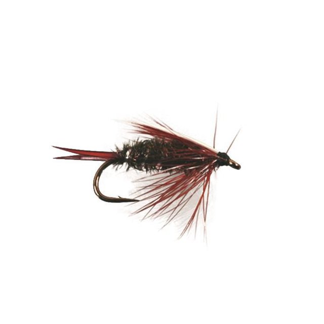 Superfly FLY1199-10P Nymph Prince Nymph #10