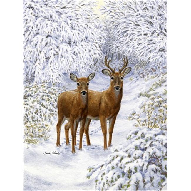 Taille du Jardin de Deux Drapeaux de Cerfs