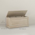 thumbnail image 3 of HOMCOM Coffre de Rangement Moderne, Boîte en Bois pour Salon, 39,4 Pouces, Naturel, 3 of 10